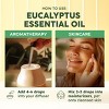 Eucalyptus Essential Oil (4 Fl Oz/118 ml) - KUKKA Eucalyptus Oil for Diffuser, Humidifier, Skin, Hair - 4 of 4