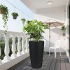 Gulches Indoor/Outdoor Auto Watering Faux Rattan Planter Weather Resistant, Spacious Design for Flowers, Plants and Vegetables - 4 of 4