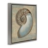 Stupell Industries Shell Beach Objects Design, 18" x 18" - 3 of 4