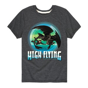 Boys' - How to Train Your Dragon - Hiccup Toothless High Flying Short Sleeve Graphic T-Shirt - 1 of 4