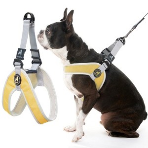 Gooby Simple Step in III Harness Yellow, X - 1 of 1