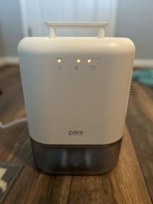 Pure Enrichment Pure Dry Elite Dehumidifier White: Small Room ...