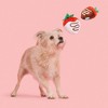 BARK I Chews You Chocolick Strawberries Dog Food Shaped Toy - image 3 of 4