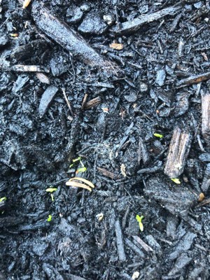 Guest review image 4 of 5, zoom in