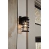 Progress Lighting, Port Royal, 1-Light Wall Lantern, Black, Clear Glass Shade - 4 of 4
