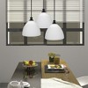 Toltec Lighting Carina 1 - Light Pendant in  Matte Black with 14" Opal Frosted Shade - 4 of 4