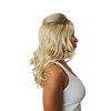 Costume Culture by Franco LLC Brown 60s Vixen Adult Costume Wig | One Size - 4 of 4