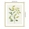 Amanti Art Wilted Vine I by Grace Popp Wood Framed Wall Art Print - 4 of 4