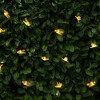 LumaBase Solar-Powered String Lights with Bee Motif - 3 of 4