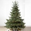 Balsam Hill 6.5' Clear LED European Fir Tree - 2 of 4