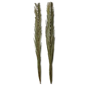 tagltd Khajur Leaves Set of 2 - 1 of 2