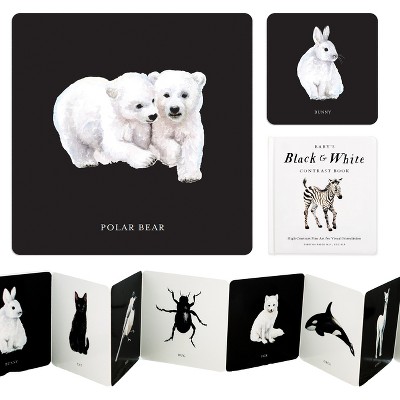 Baby's Black and White Contrast Book - (Tabitha Paige Children's Book) by  Tabitha Paige (Board Book)
