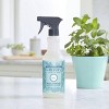 Mrs. Meyer's Clean Day Mint Liquid All Purpose Cleaner - 16 fl oz - 3 of 3
