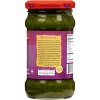 Mint Chutney (Podina) - 10.5oz (300g) Pack of 6 - Rani Brand Authentic Indian Products - 4 of 4