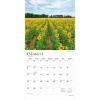 BrownTrout Sunflowers 2026 12"x24" Hanging Square Wall Calendar Plastic-Free - 3 of 4