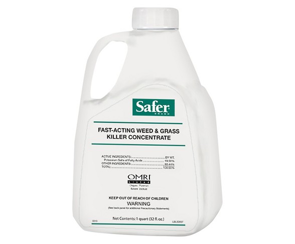 Fast Acting Weed and Grass Killer - Safer Brand