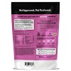 Pet Honesty Multivitamin 10-in-1 Chicken Flavor Supplement for Dog - 60ct - 2 of 4