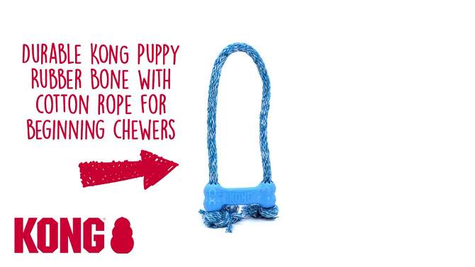 KONG Goodie Bone with Rope Puppy Toy - Blue - XS, 2 of 5, play video