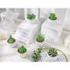 Aoibox Set of 6 Artificial Succulent Plants in Pots, Fake Plants for Home Decor, Office Desk, Bedroom, Living Room, Bathroom - 4 of 4