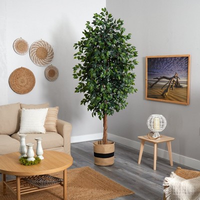 Elegant 8ft Ficus Floor Plant in Handmade Cotton Planter