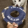 Pavilion Gift Company - Boat Dog - 10.75" x 10.75" Canvas Dog Toy on Rope - Pet Toy - 2 of 4