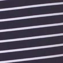 zebra black striped