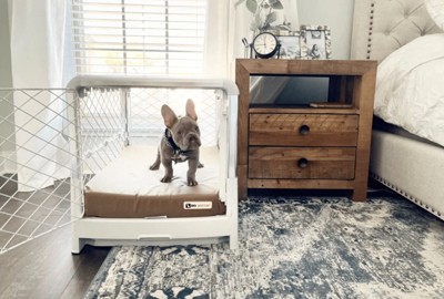 Big Barker 4" Orthopedic Crate Bed