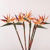 Attop Tropical Paradise Artificial Flowers with Stems Lifelike Bouquet Faux Spring Flowers for Home Decor Floral Arrangement - 2 of 4