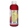 Synergy The Real Kombucha, Lemonberry – 16 fl oz - 2 of 4