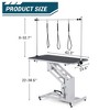 Hydraulic Dog Grooming Table, Heavy Duty 350Lbs Capacity Professional Pet Grooming Table - 2 of 4
