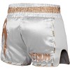 Venum Giant Lightweight Muay Thai Shorts - 2 of 4