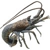 SPI Home Brass Night Walker Florida Spiny Lobster Sculpture – 8" Detailed Coastal Sea Life Decor Figurine for Nautical Interiors - 3 of 3