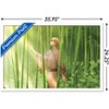 Trends International Fruits Basket - Kyo Soma Framed Wall Poster Prints - 3 of 4