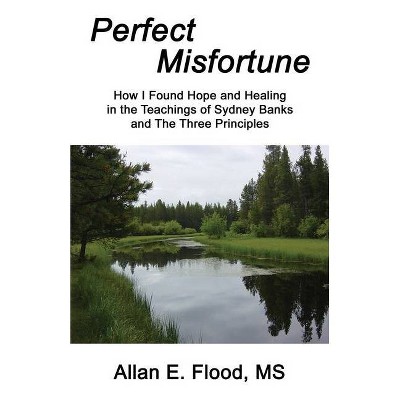 Perfect Misfortune - 5th Edition by  Allan E Flood (Paperback)