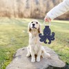 Pavilion Gift Company - Out Of Reach - 12.5" Canvas Dog Toy on Rope - Pet Toy - 2 of 4