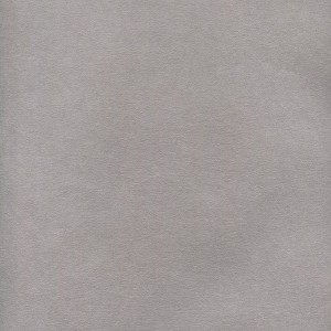 Stillman & Birn Nova Series - Art Paper - Pack of 5 Sheets - 22 x 30 - 150gsm Grey Paper - 1 of 1