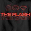 Boy's The Flash Heroes Classic Emblems Pull Over Hoodie - image 2 of 4