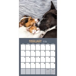TF Publishing 13.5"x14.5" 2026 Furry Friends Wall Calendar - 1 of 4