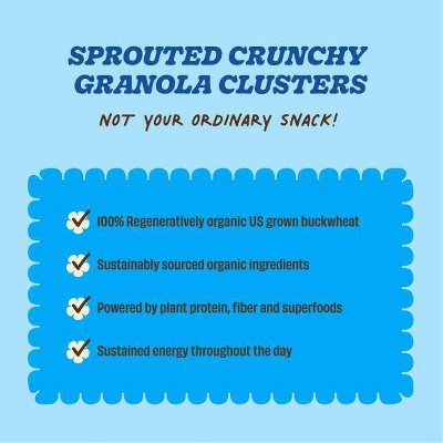 Lil Bucks Gluten Free Organic Blueberry Crisp Clusterbucks Granola - 6oz