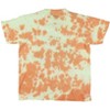 Seven Times Six Jurassic World T-Shirt Boys' Tie-Dyed Logo Design Graphic Print Tee - 4 of 4