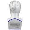 Design Toscano Porcelain Phrenology Head Statue - 4 of 4