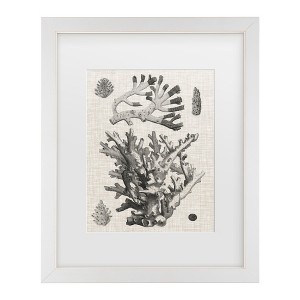 Trademark Fine Art - Vision Studio  Coral on Linen I Matted Framed Art - 1 of 4