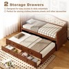Twin Size Daybed with 4 Storage Drawers and Trundle for Bedroom or Guest Room - 4 of 4