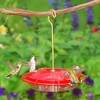 Aspects HummZinger Ultra Nectar Bird Feeder with 4 Feeding Ports, 12oz Capacity - 2 of 2