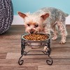 YML 10-Inch Black Wrought Iron Stand with Single Stainless Steel Feeder Bowl - 3 of 4