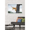 Trends International The Comedy Wildlife Photography Awards: Jennifer Hadley - Not So Cat Like Framed Wall Poster Prints - 2 of 4