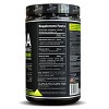 Sascha Fitness BCAA 4:1:1 with Glutamine, HMB, L-Carnitine, HICA| Natural Lemon Lime Flavor 12.8 oz - 2 of 4