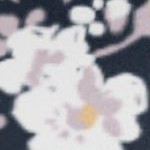 floral dream navy