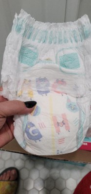 Guest review image 5 of 5, zoom in