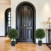 20" Artificial Topiary Trees 2-Pack, Faux Boxwood Plants with Fruits in Nursery Pots for Indoor Outdoor Decor - 3 of 4